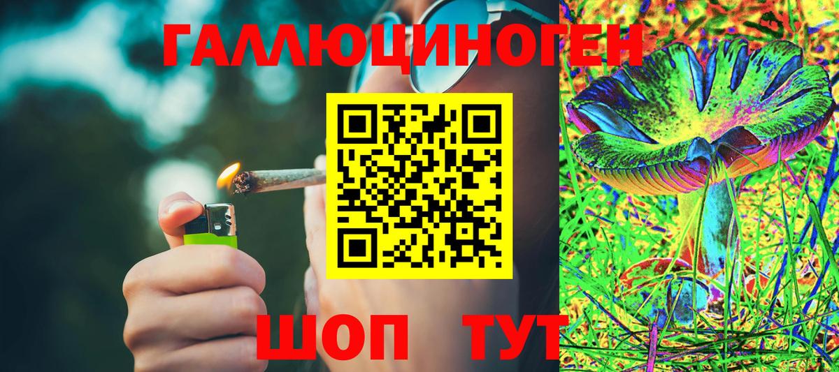 Галлюциногенные грибы Psilocybine cubensis Пенза