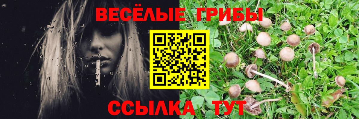 Пенза  Галлюциногенные грибы прущие грибы  Псилоцибиновые грибы мицелий  Вход с VPN 